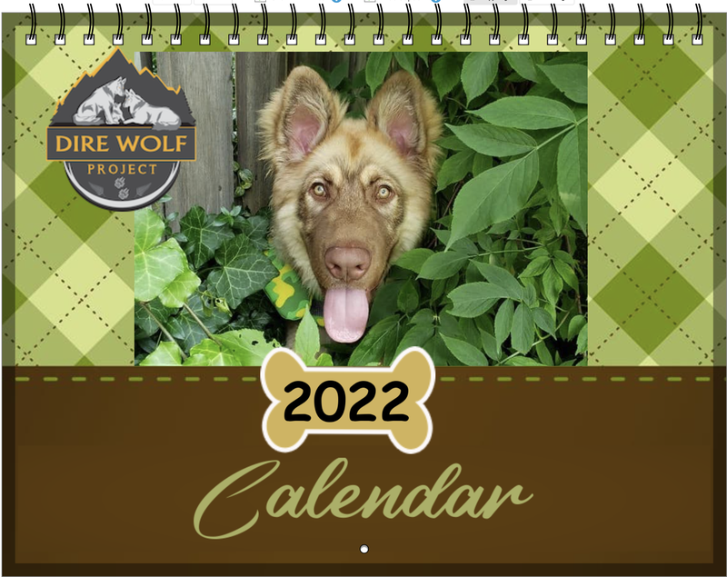 2022 American Alsatian Owners Calendar