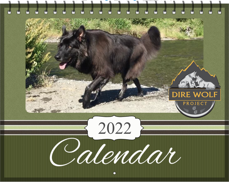 2022 Dire Wolf Project Calendar - front