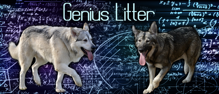 Genius Litter Banner.png