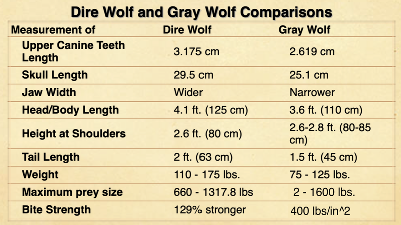 Dire Wolf Comparison Chart