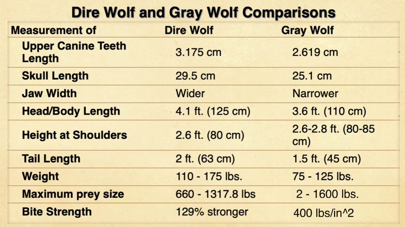 dire wolf size comparison