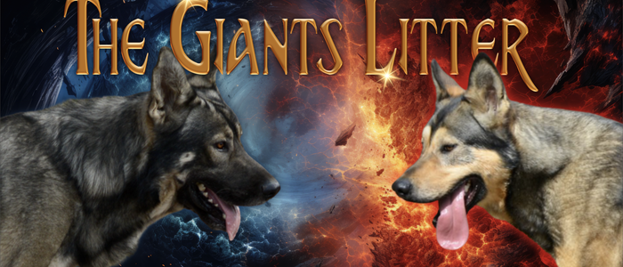 Giants Litter Banner