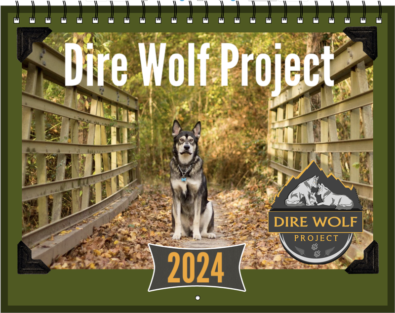 2024 Dire Wolf Project Calendars Dire Wolf Project   Screen Shot 2023 10 17 At 2.08.53 PM.width 800 