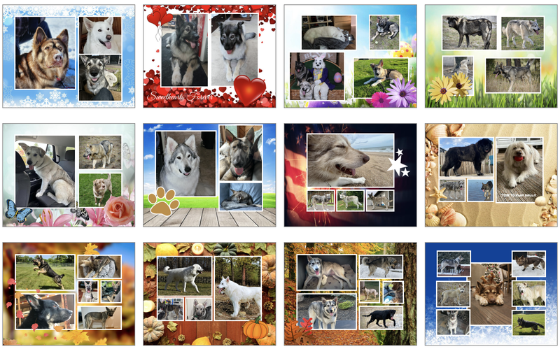 DWP 2024 Calendar - back