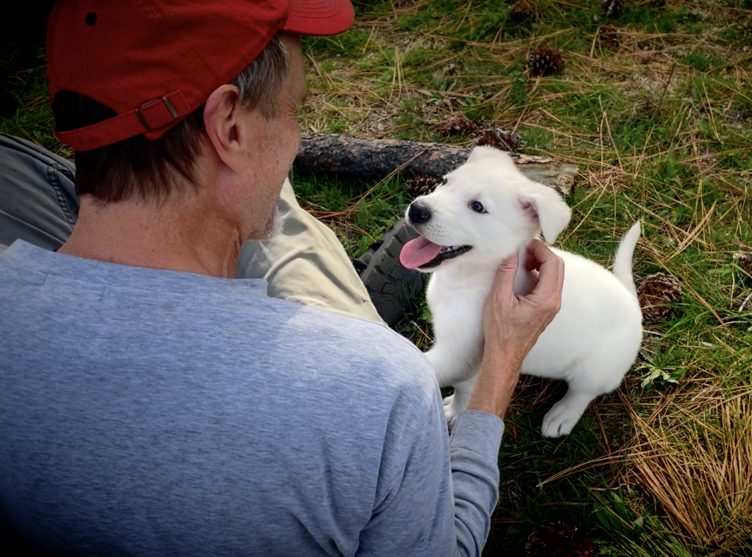 Yeti and Jay - puppy.png