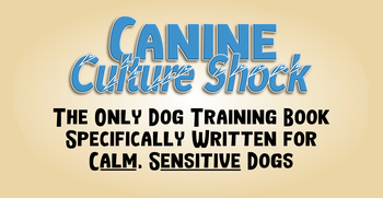 Canine Culture Shock - Title and Slogan - final