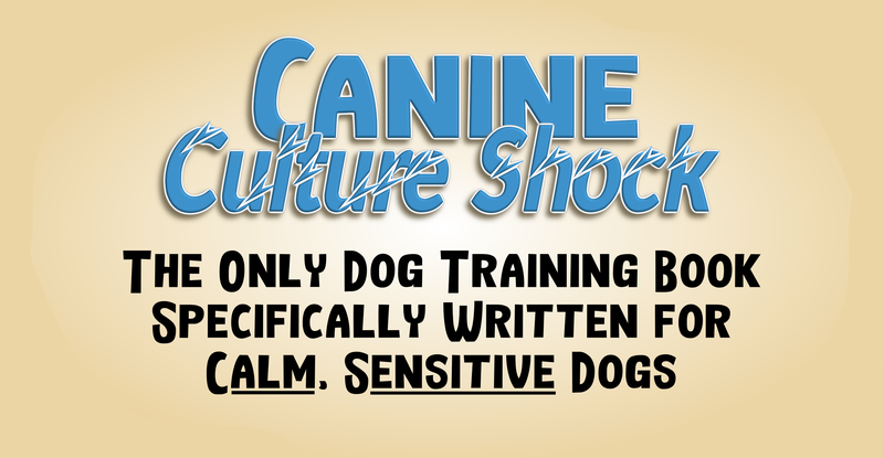 Canine Culture Shock - Title and Slogan - final