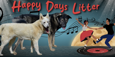 Happy Days Litter Banner1