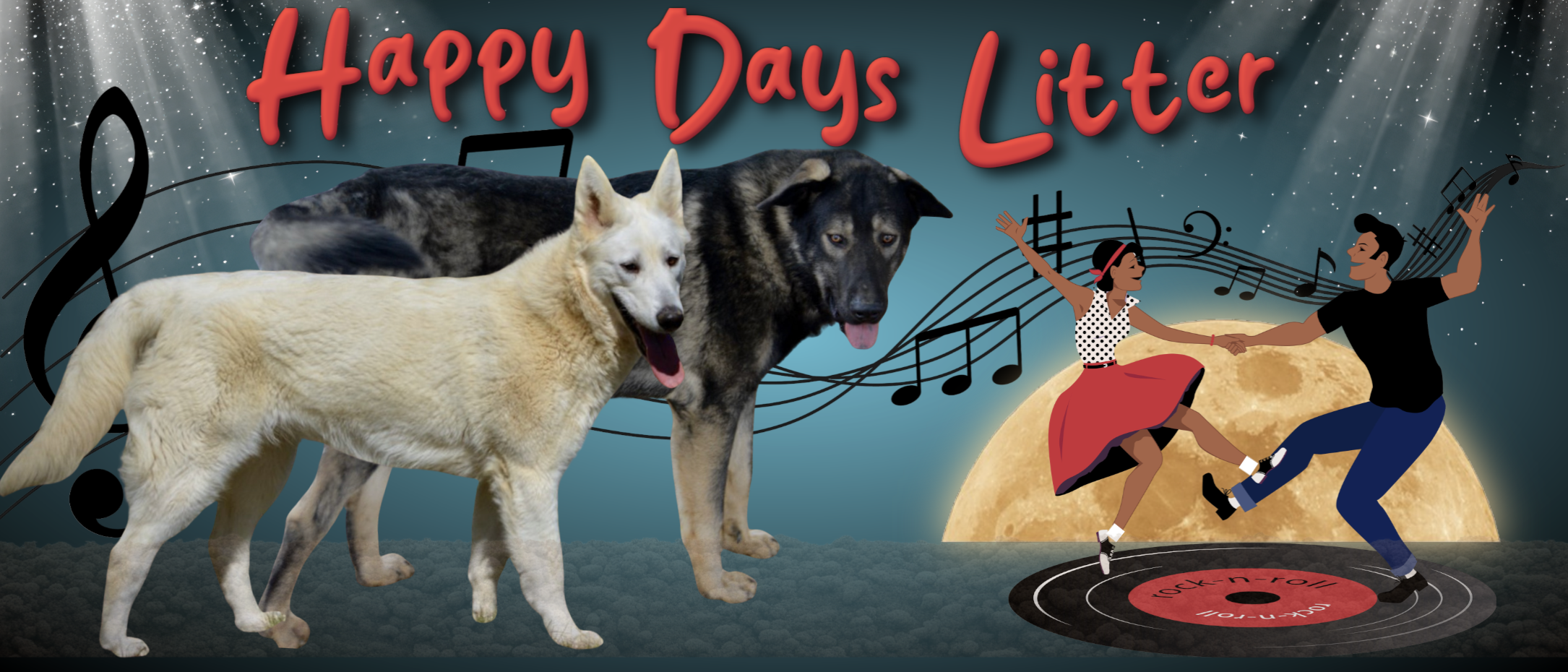 Happy Days Litter Banner1