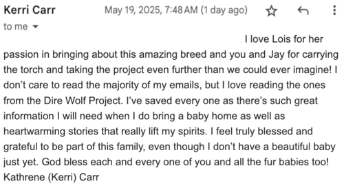 Kerri Carr email newsletter quote
