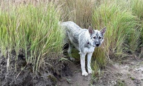 Tala - 1 year old - beautiful