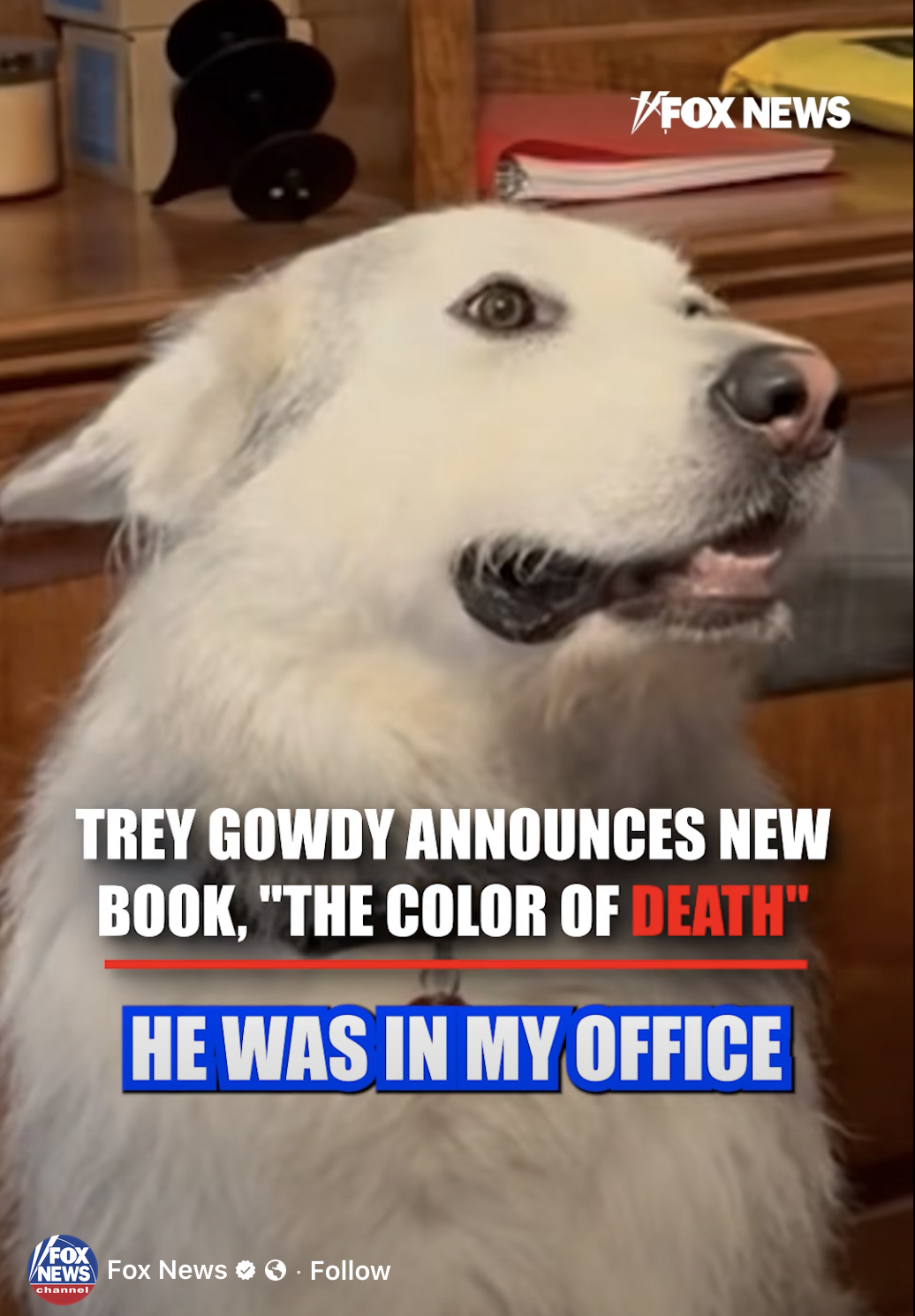 Justice went viral