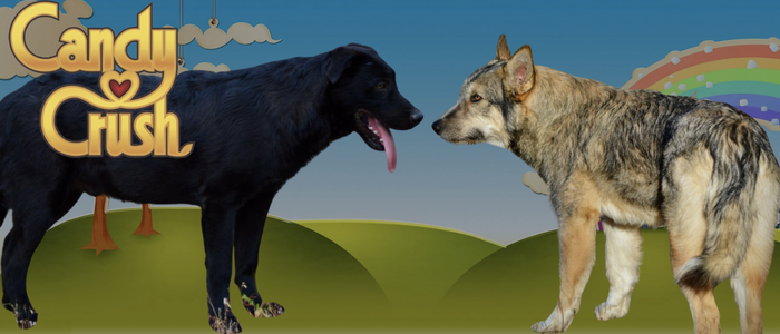 Screenshot 2025-12-08 at 9.42.05 PM.png