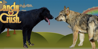 Screenshot 2025-12-08 at 9.42.05 PM.png