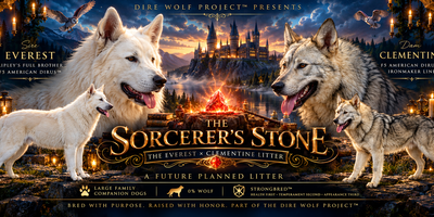 Sorcerer’s Stone Litter Fantasy Poster.png