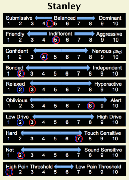 Stanley Temperament.png