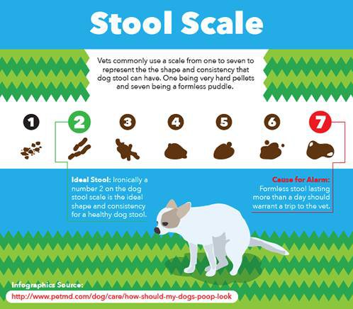 Stool Scale