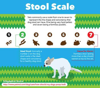 Stool Scale