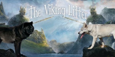 Viking Litter Graphic