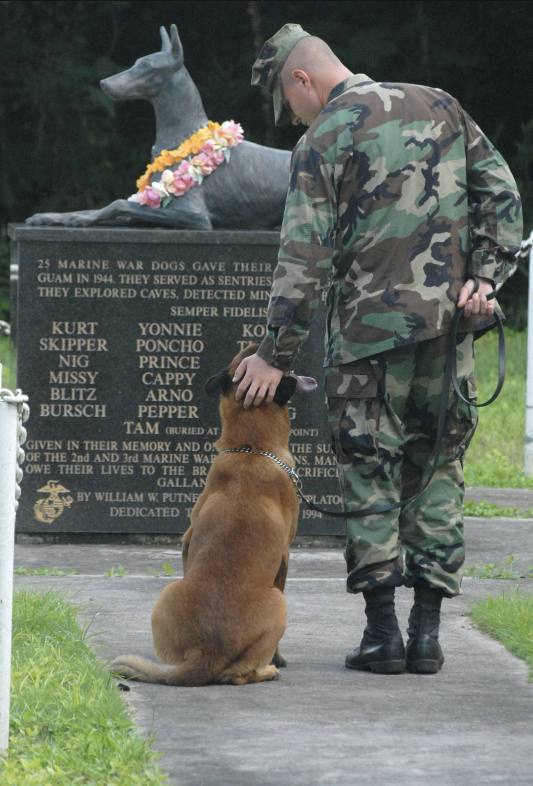 dog and soldier.png