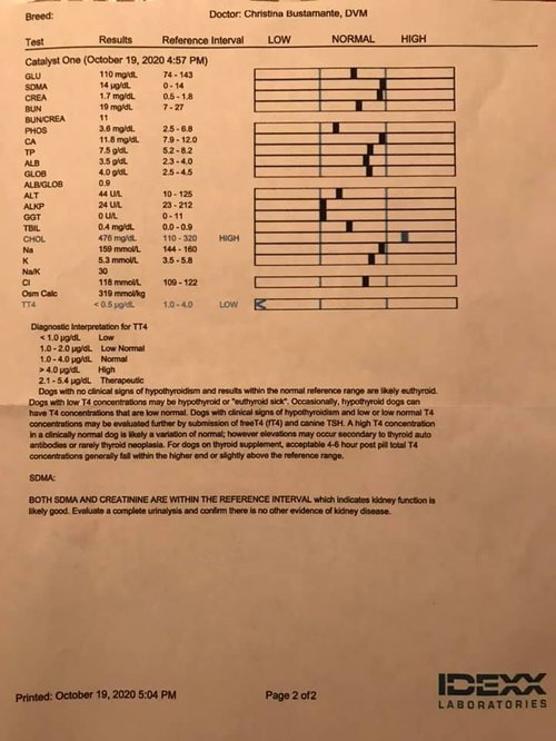 blood test hypothyroidism