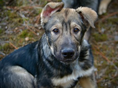 neptune 4 months.jpg