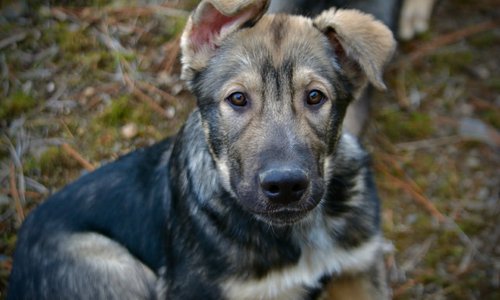 neptune 4 months.jpg