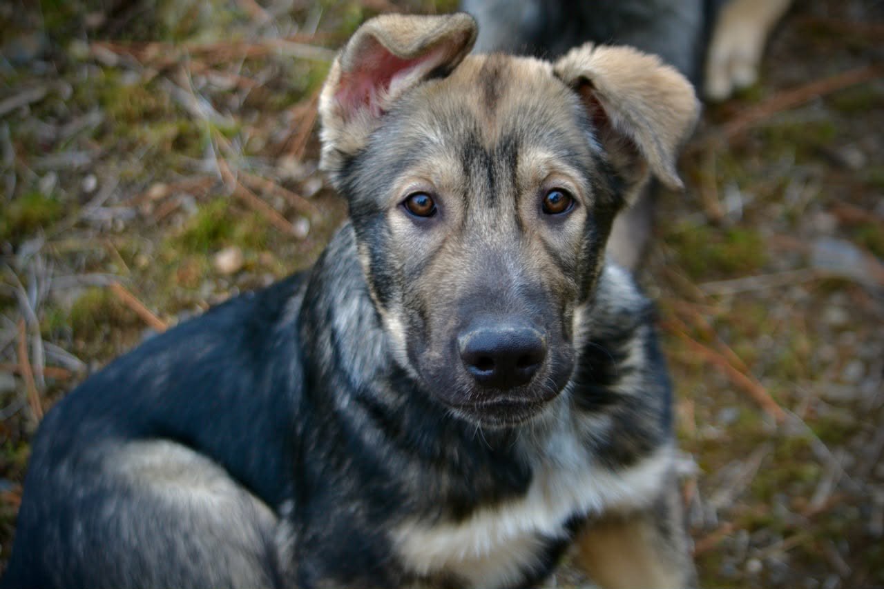 neptune 4 months.jpg