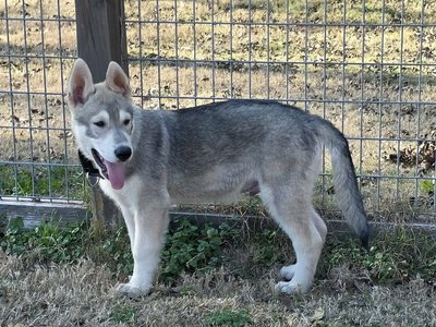 sprocket 14 weeks.jpg