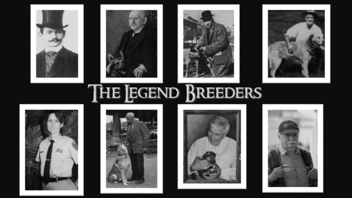 top-10-most-success-and-famous-dog-breed-creators.jpg